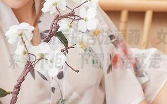 尤蜜荟 – 不知所云的合法萝莉，女孩图库来者不拒，下载说走就走