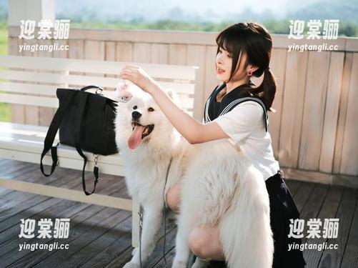 河豚抚子：原图中的女王，风华绝代，言辞犀利。